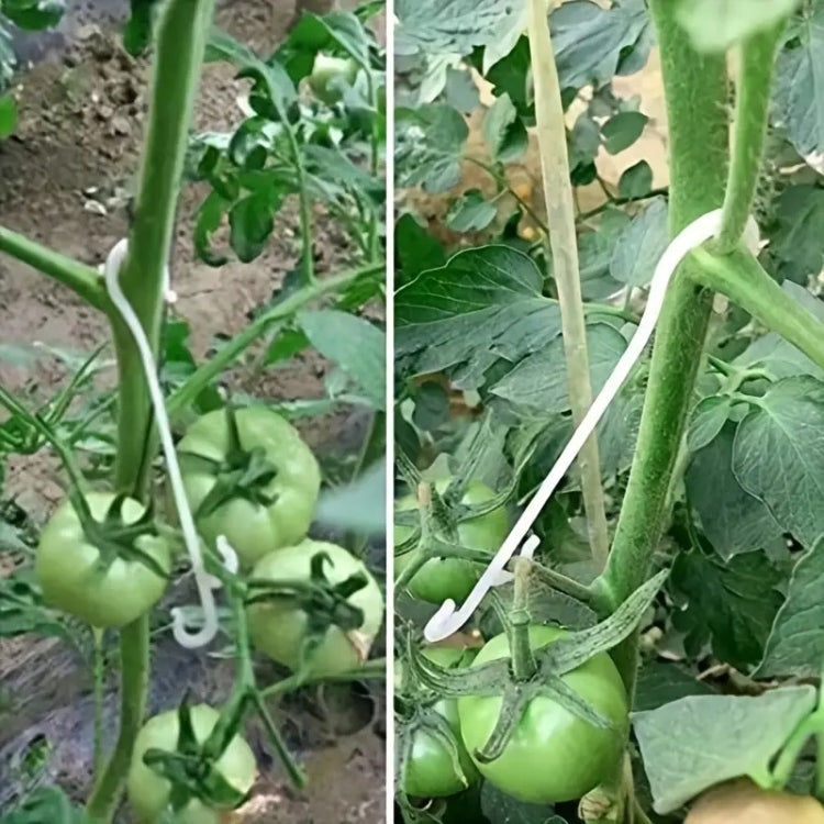 PLANT HOOKS Tomato Stem Holders - 10 PCS 13 cm Brand no brand