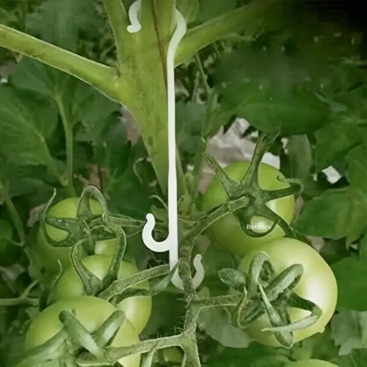 PLANT HOOKS Tomato Stem Holders - 10 PCS 13 cm Manufacturer code haczyki do pomidorów