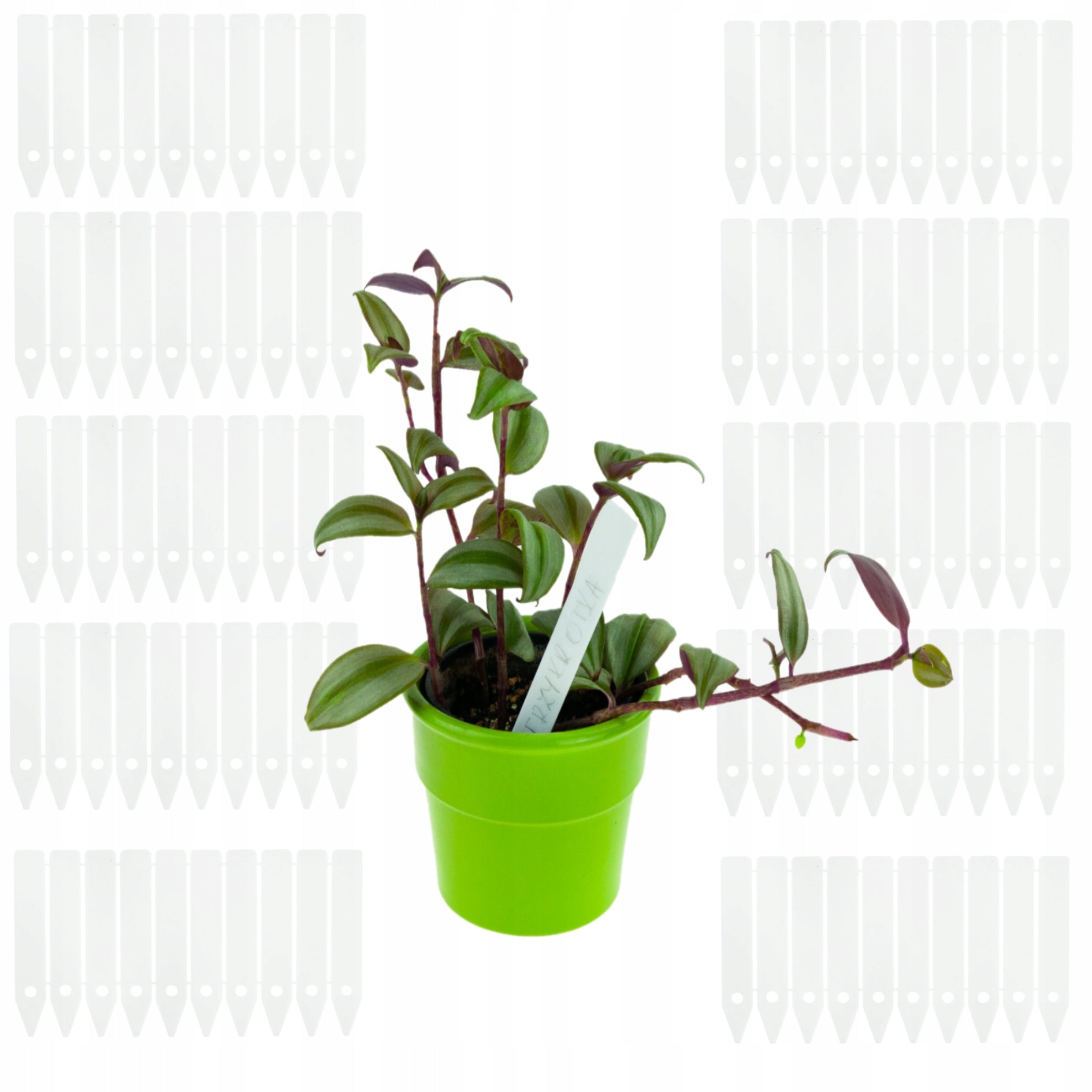 PLANT LABELS GARDEN SIGNS FOR DESCRIBING SEEDLINGS MARKERS 100