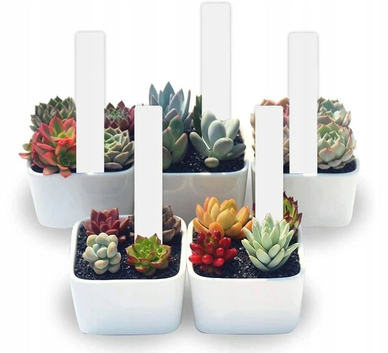 PLANT PLATES MARKERS GARDENING LABELS PLASTIC WHITE Brand Simplo
