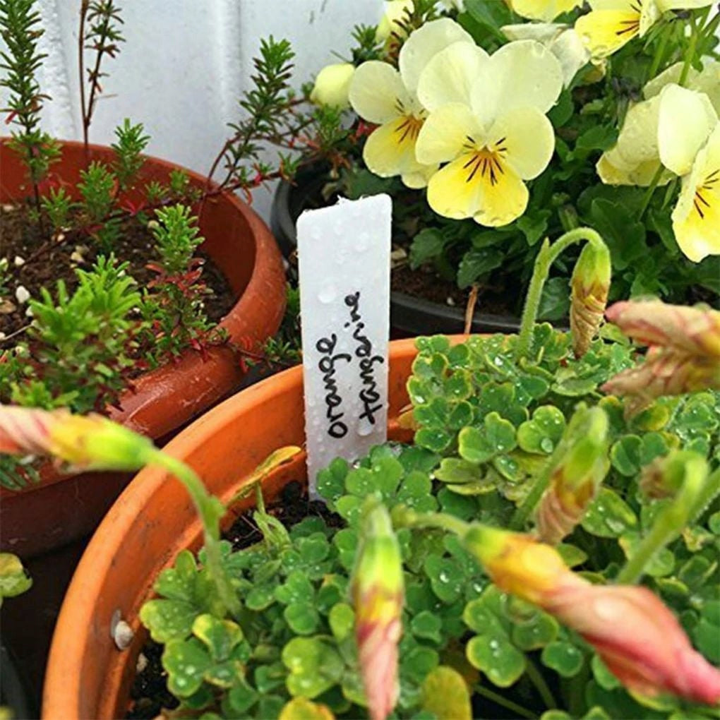 PLANT PLATES MARKERS GARDENING LABELS PLASTIC WHITE Number of pieces 10 pcs
