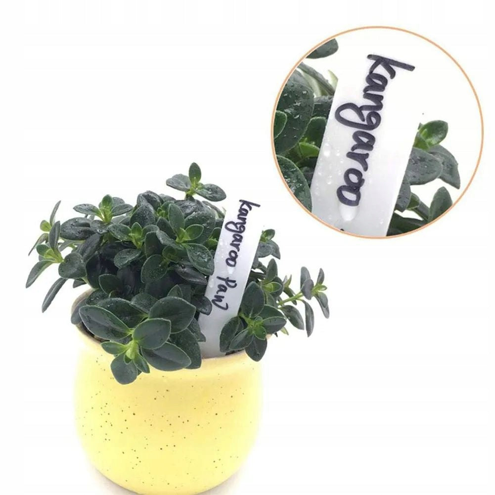 PLANT PLATES MARKERS GARDENING LABELS PLASTIC WHITE Packaging status original