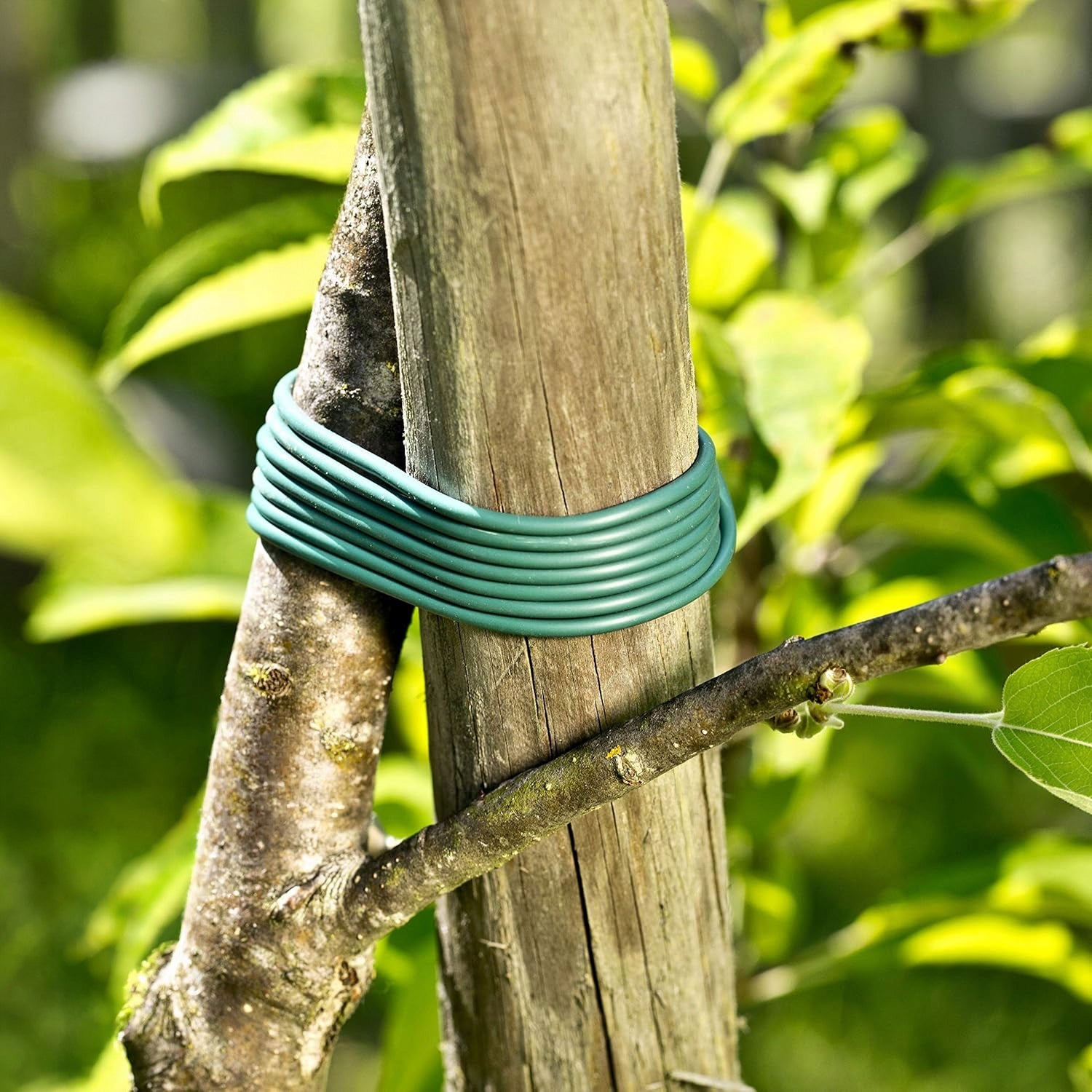 PLANTING HOSE FOR FIXING PLANTS FOR LIGATING TREES 3,9MM X 30M Dominant material plastic