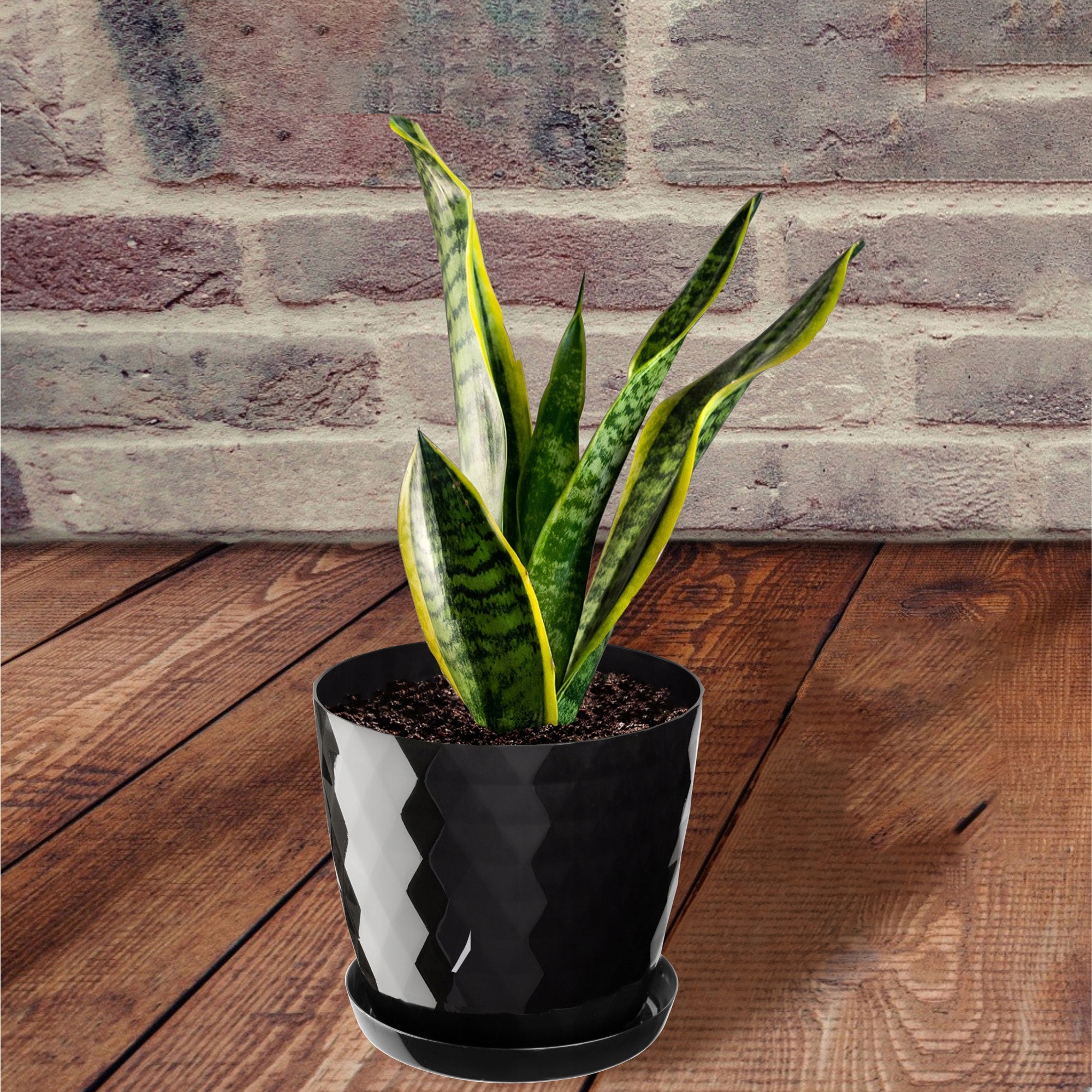 PLASTIC FLOWER POT WITH STAND FLOWER POT COVER 20cm BLACK KADAX Manufacturer code K65