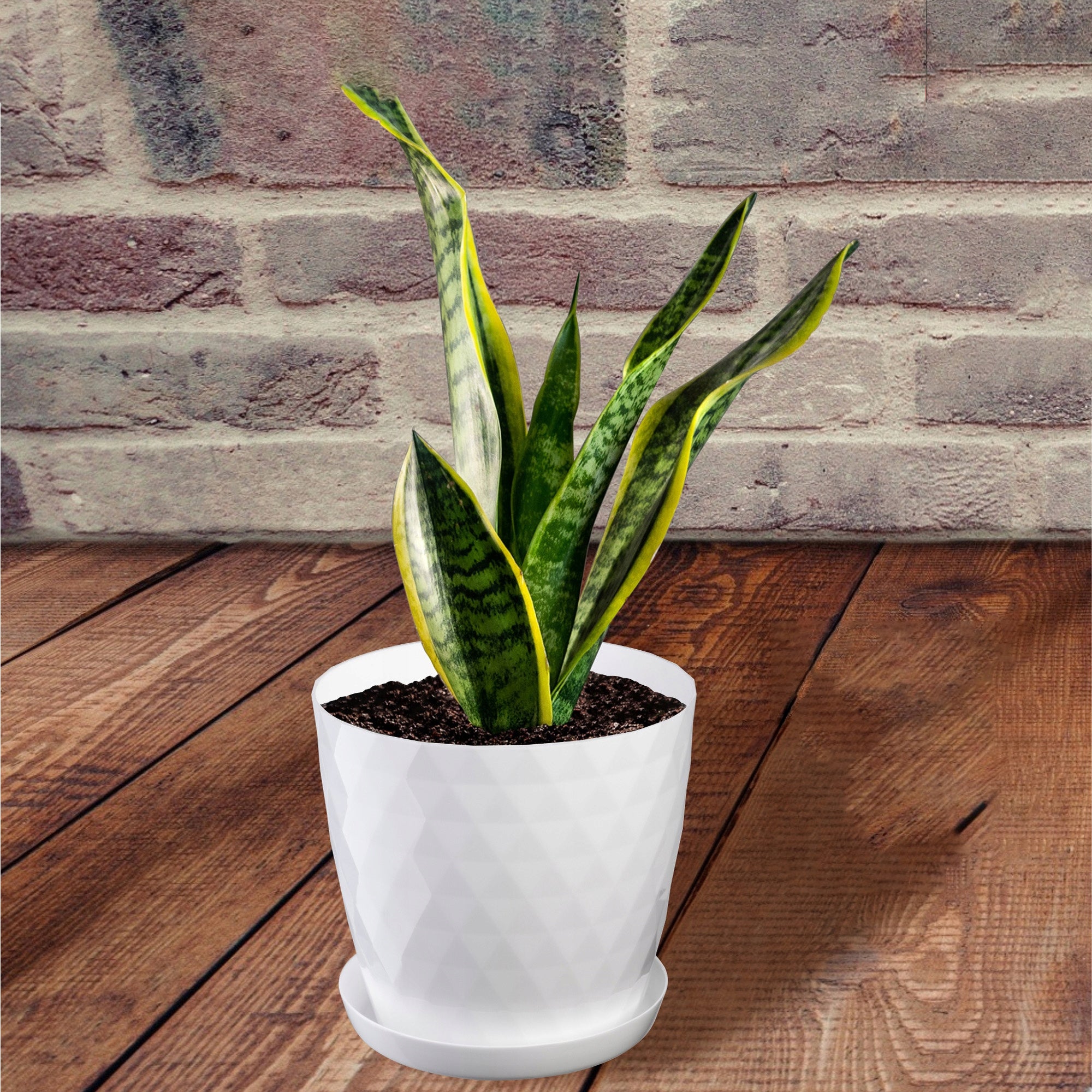 PLASTIC FLOWER POT WITH STAND PLANTER FLOWER COVER 14cm WHITE KADAX Manufacturer code K111