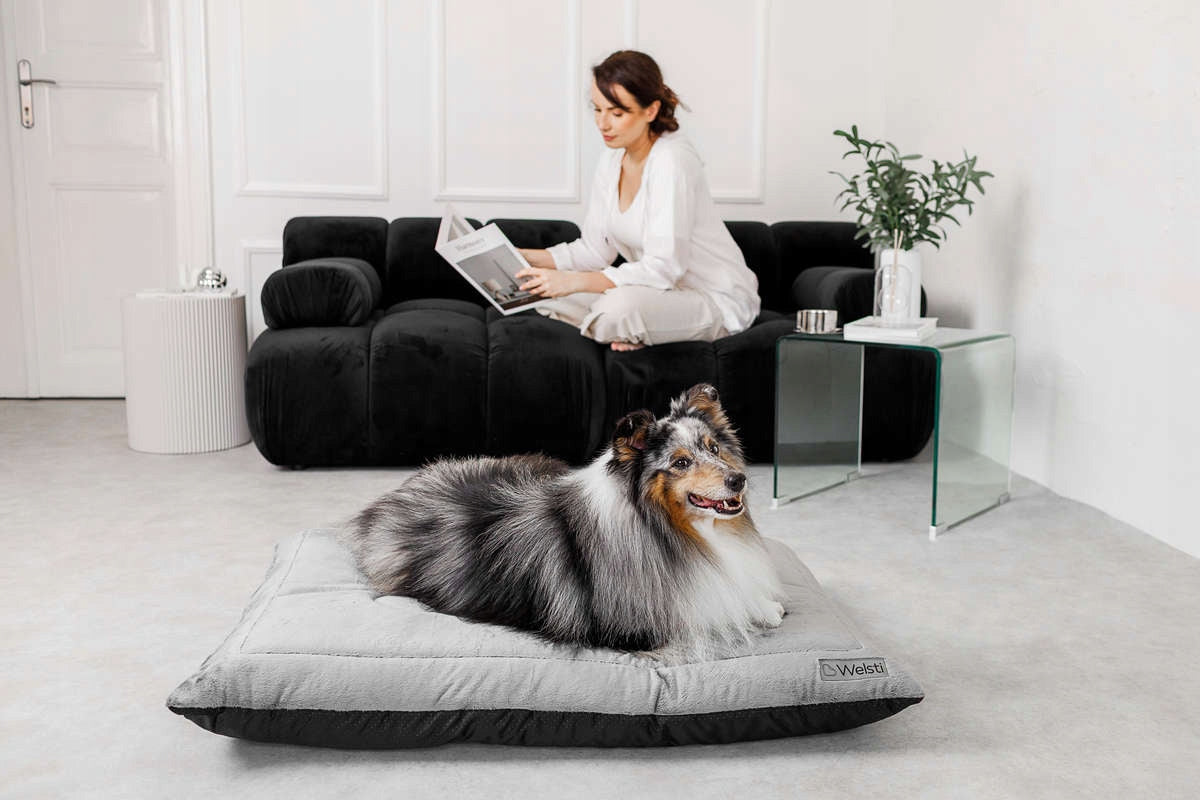 PLUSH dog bed sleeping bed Welsti large 100x70 fluffy warm Manufacturer code 547-uniw