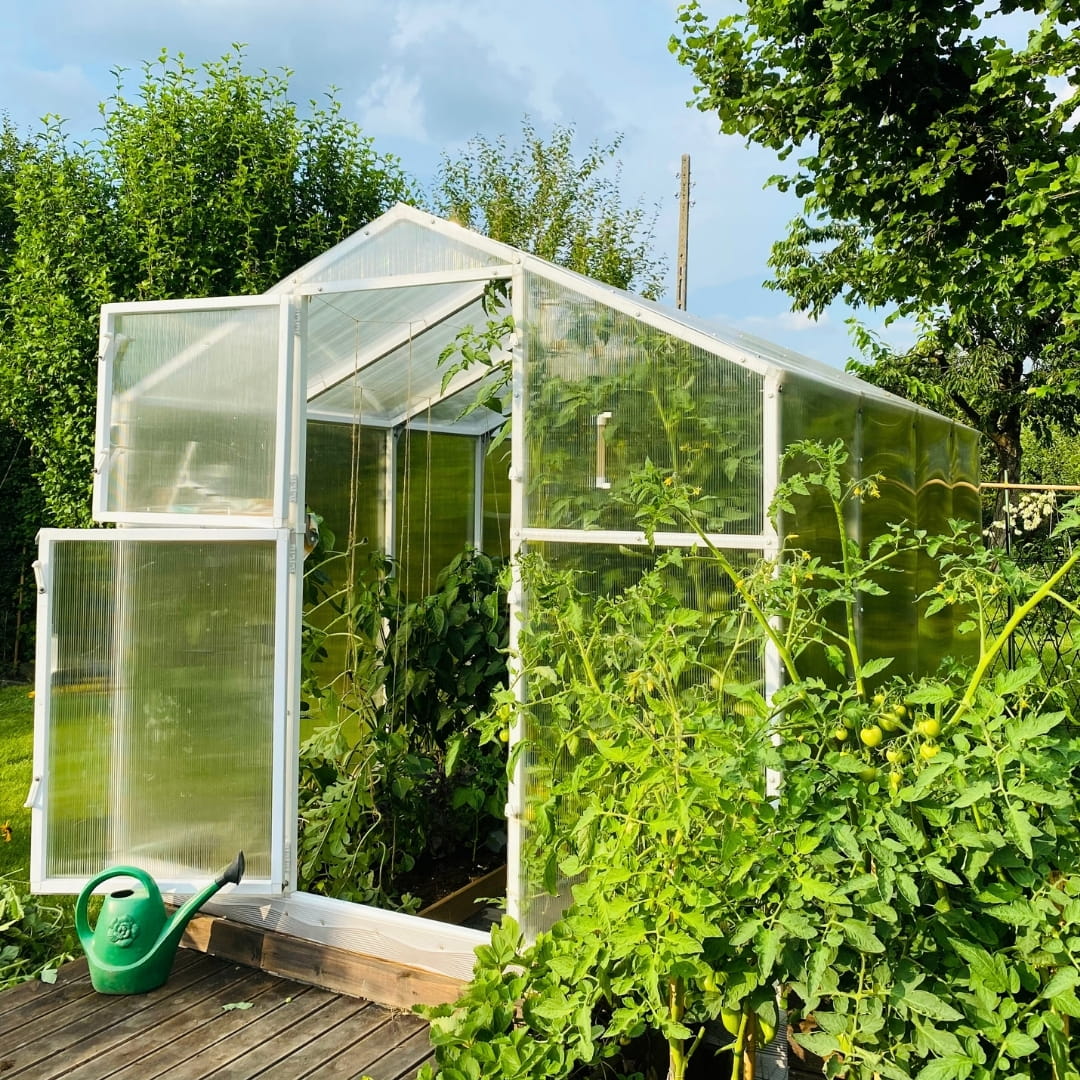 POLYCARBONATE GARDEN GREENHOUSE 5,6m2 POLYCARBONATE TUNNEL 210X270 PTF Thickness 4 mm