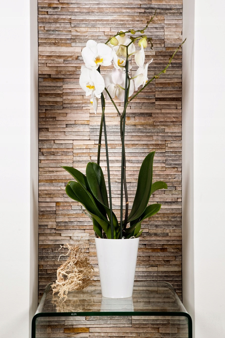 POT COVER FOR ORCHID FLOWERBED PLASTIC FLOWERS WHITE SOLID 13 CM Color white