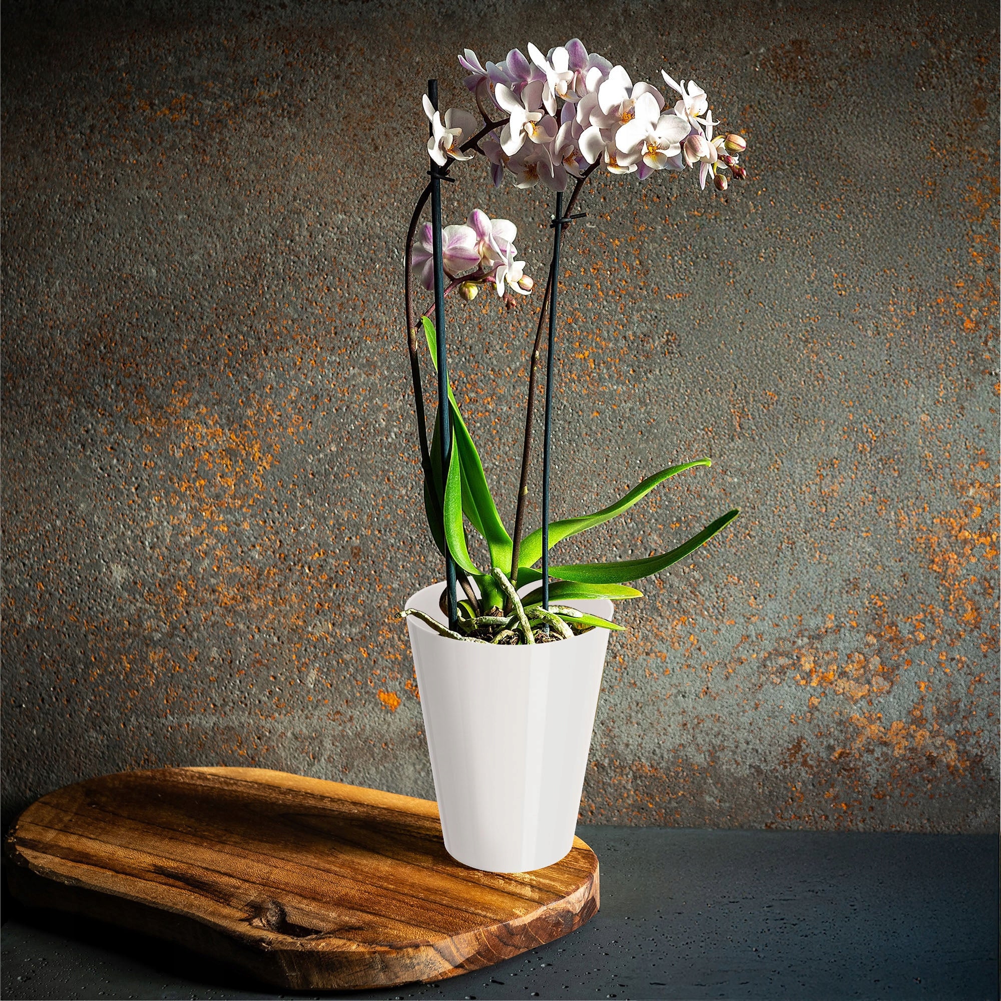 POT COVER FOR ORCHID FLOWERBED PLASTIC FLOWERS WHITE SOLID 13 CM Manufacturer code K2128