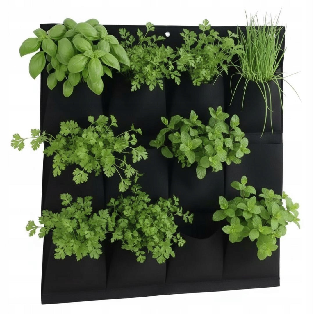 POT HANGING FOR STRAWBERRIES FLOWERS HERBS PLANTER HERBARIUM LARGE XXL Color black