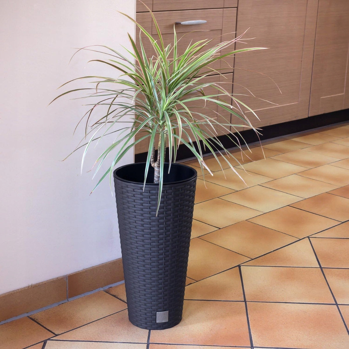 POT PLANTER COVER WITH INSERT RATO TUBE ANTHRACITE HIGH FOR GARDEN Color gray