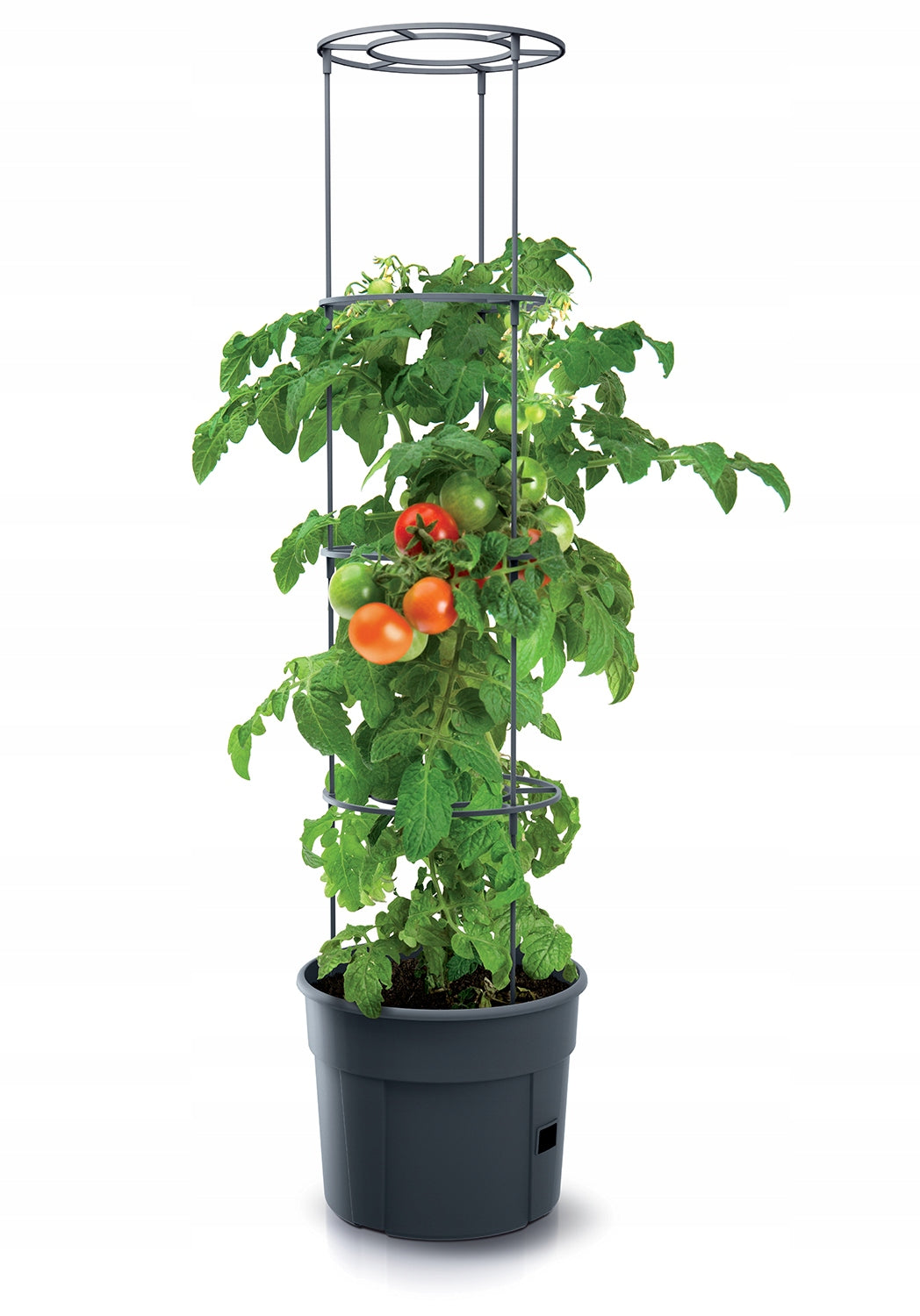 POT PLANTER FOR GROWING TOMATOES PLANTER 28L SET GROWER PROSTARPLAST EAN (GTIN) 5905197289113