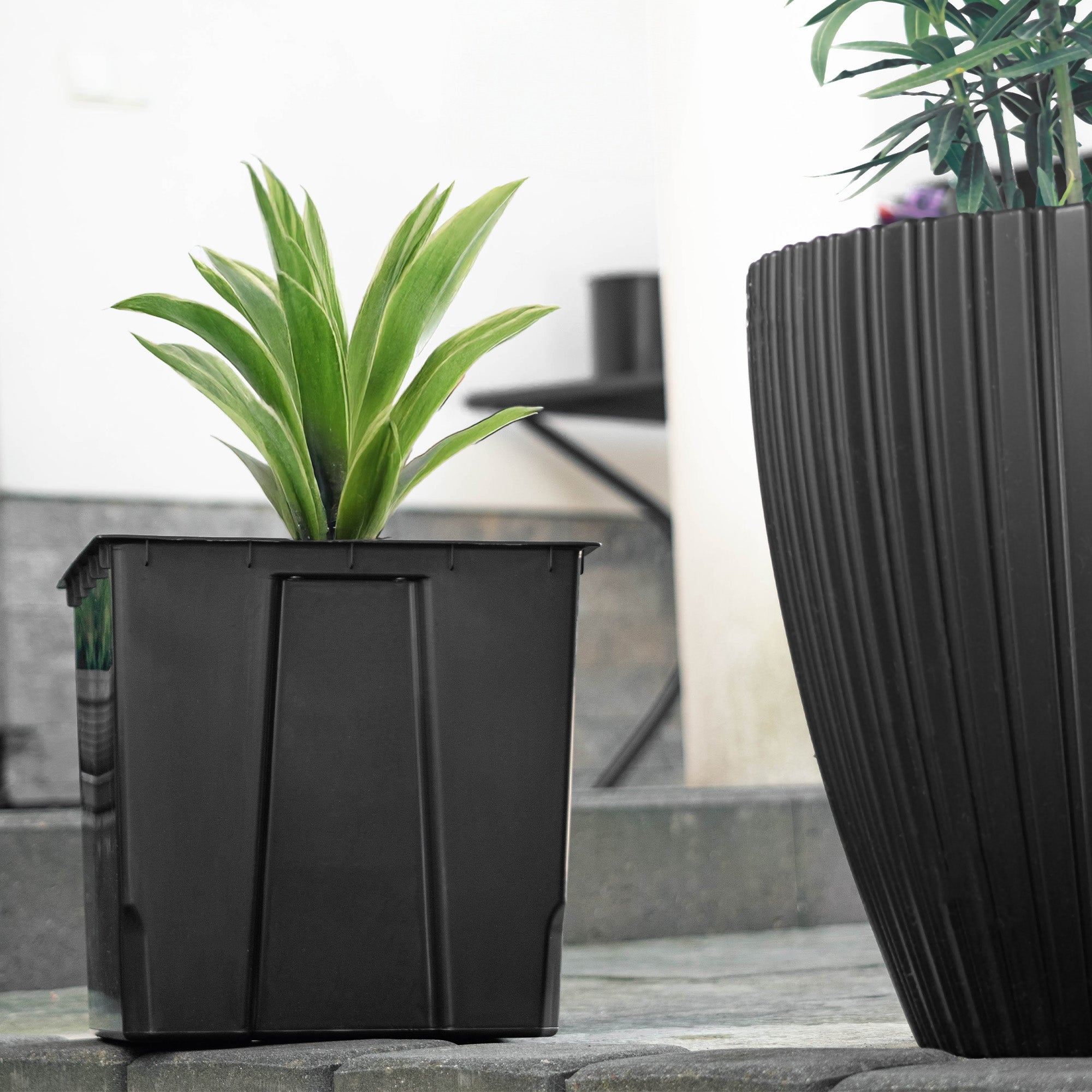 POT REFILL POT REFILLS 40 x 40 cm SQUARE UNIVERSAL Length 40 cm
