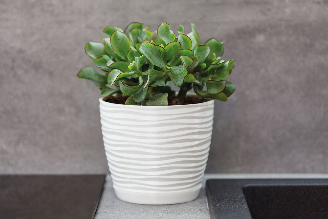 POT SAHARA PETIT + COASTERS 27 WHITE 3D H24,5 ROOMY NICE PLANTER Manufacturer code satina