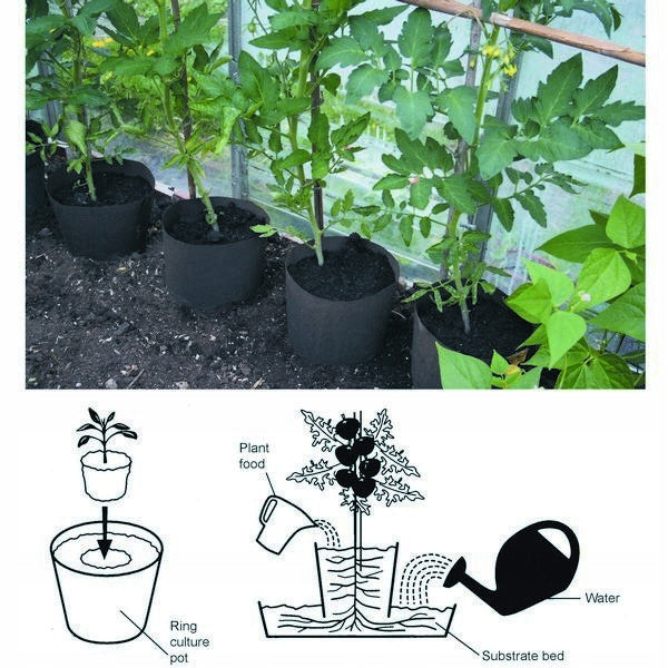 POT clipped CULTIVATION CUCUMBER TOMATO 18x18 1pcs Brand no brand