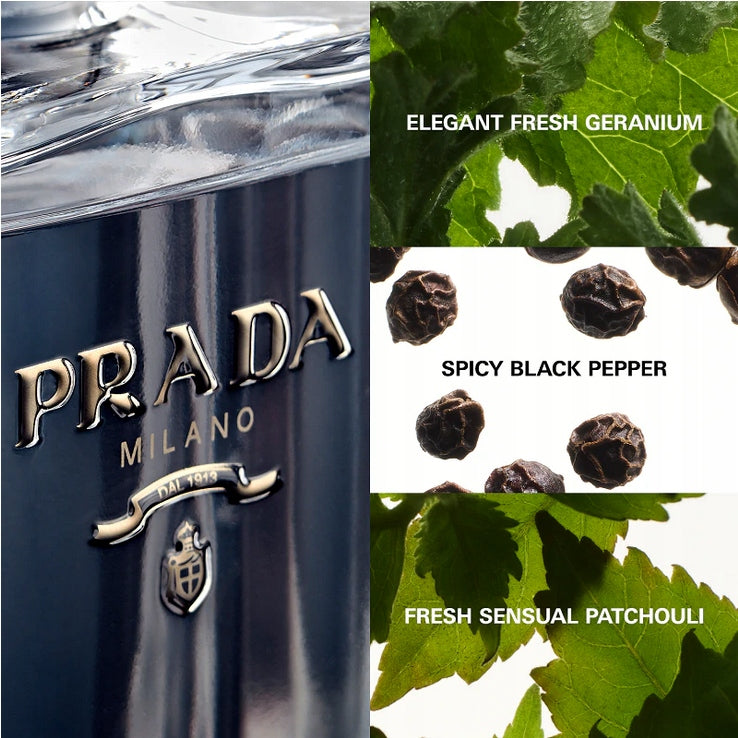 PRADA L'HOMME eau de toilette 150 ml ORIGINAL Manufacturer code PRADA L'HOMME