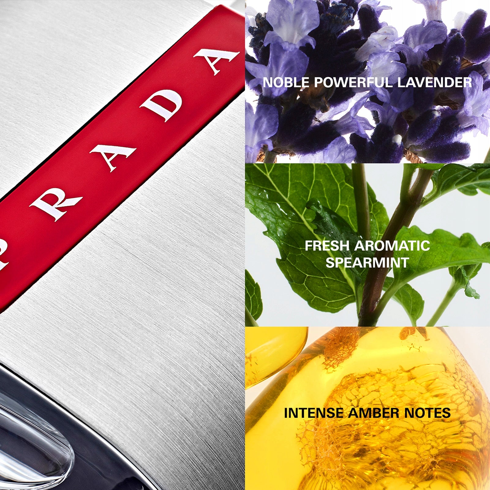 PRADA LUNA ROSSA EDT 100ML ORIGINAL Brand Prada