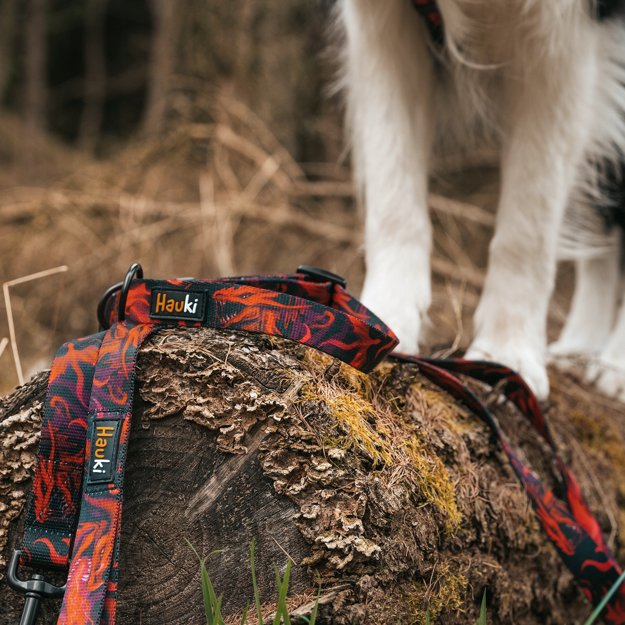 PREMIUM HARNESS FOR A LARGE DOG. DRAGON PATTERN. ADDRESS CARD HOOK FREEBIE! SIZE. M Kind walking harness