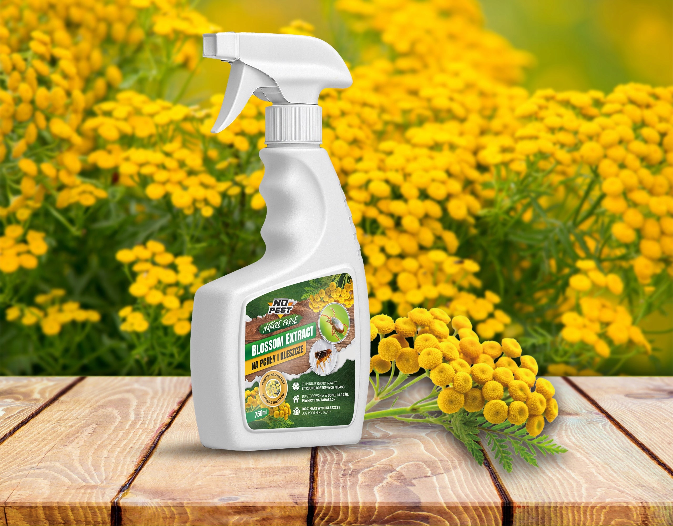 PREPARATION SPRAY AGENT FOR FLEAS TICKS EXTRACT 750ML TANSY Purpose insecticidal, against insects against pests