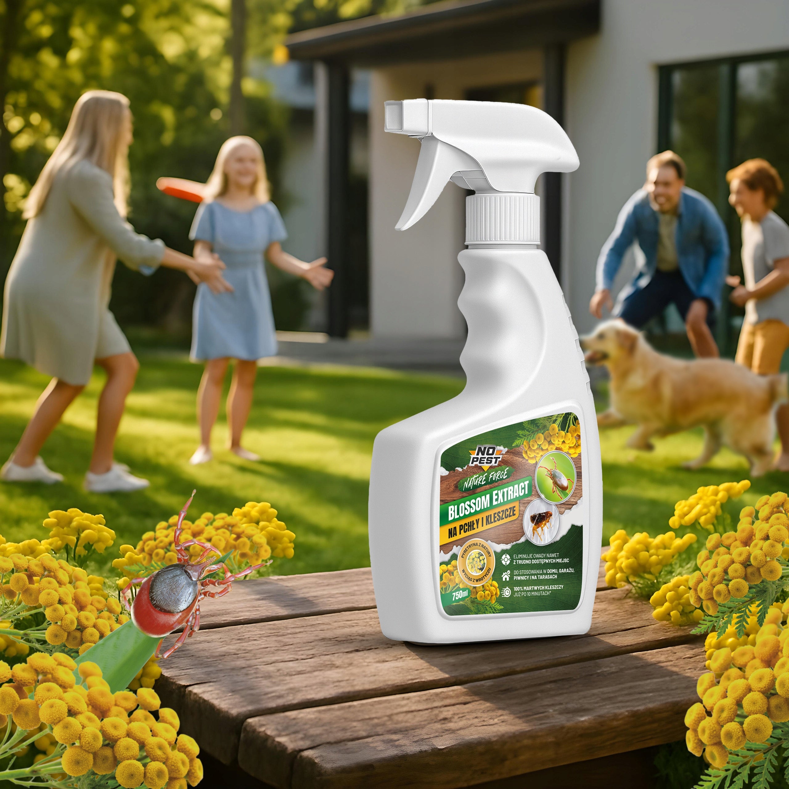 PREPARATION SPRAY AGENT FOR FLEAS TICKS EXTRACT 750ML TANSY Volume 0.75 l