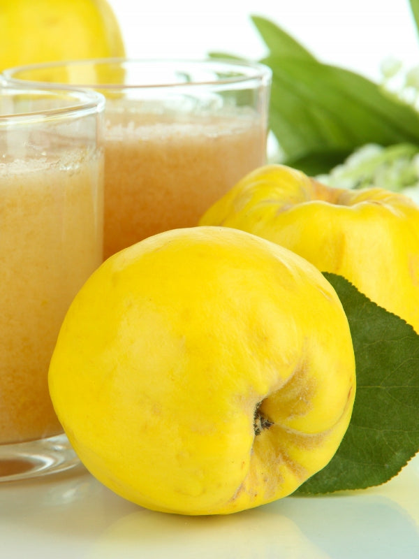 PRESSED QUINCE JUICE 100% NFC 3L FOR CHILDREN Brand Tłocznia Szymanowice