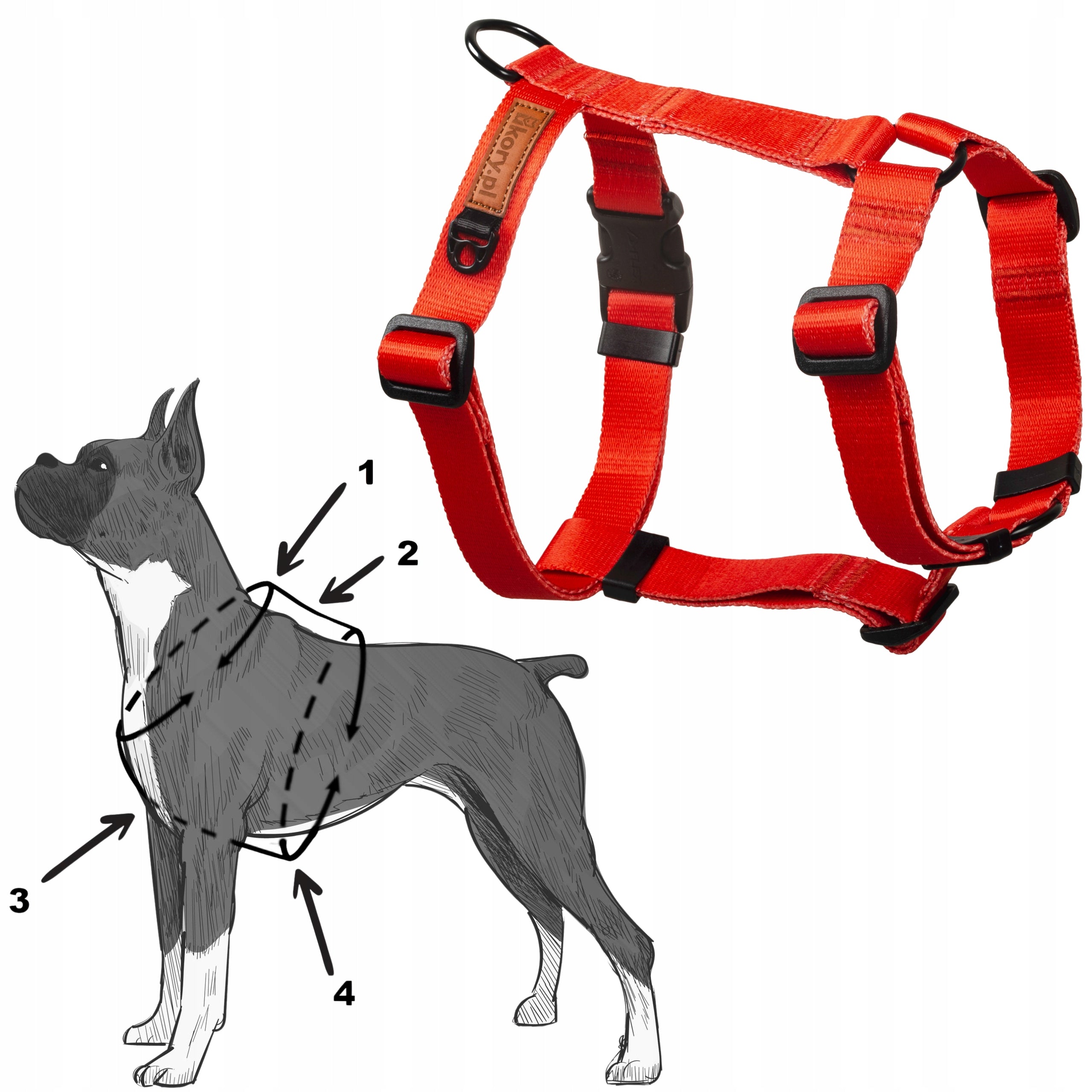PRESSURE-FREE GUARD harness for medium dog M/L 25 mm BEAGLE BULTERIER GOLDEN Brand Ukory