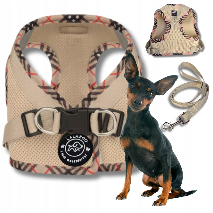 PRESSURE-FREE HARNESS FOR SMALL DOG Vest BENXI + LEASH beige XS