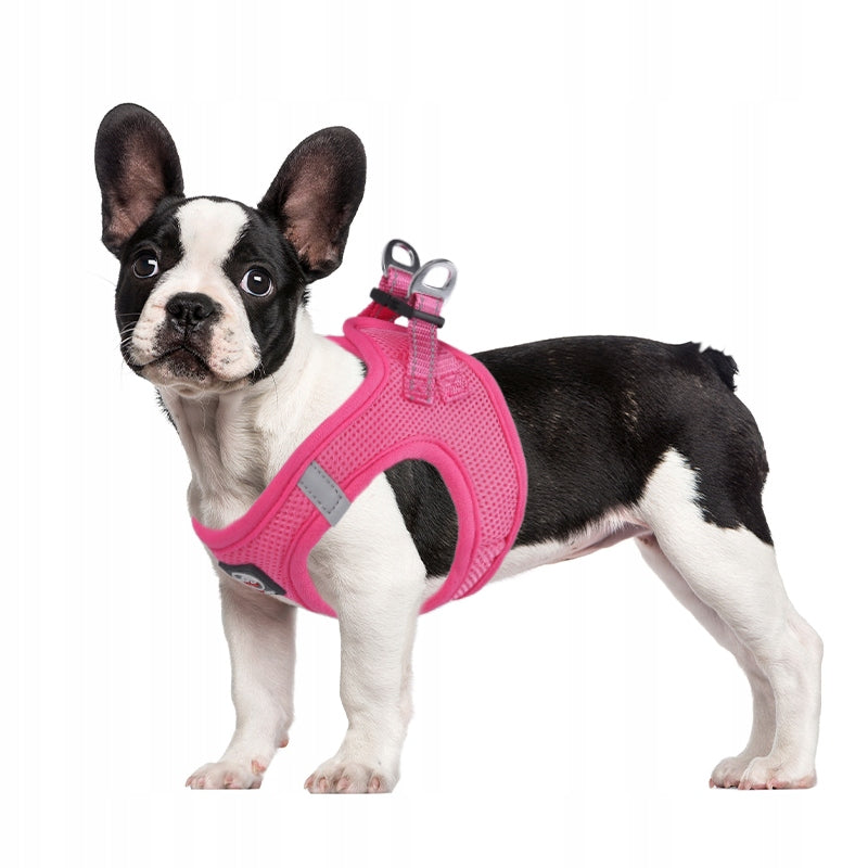 PRESSURE-FREE HARNESS for dog breathable micro breed MIAMI + LANYARD pink XS Brand Lalazoo