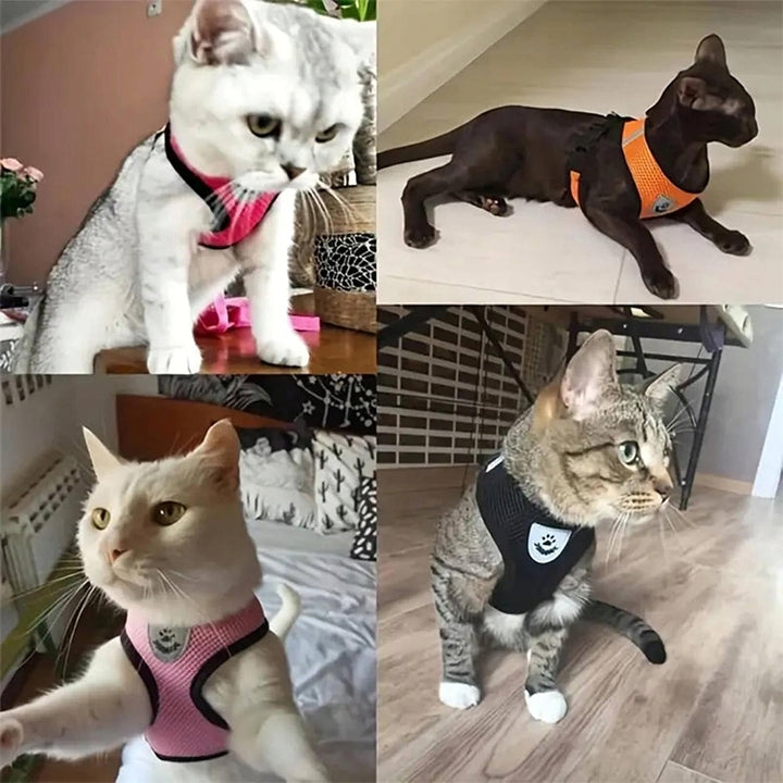 PRESSURE-FREE WALKING HARNESS FOR CAT DOG M BREATHABLE COMFORTABLE WITH LEASH Size M
