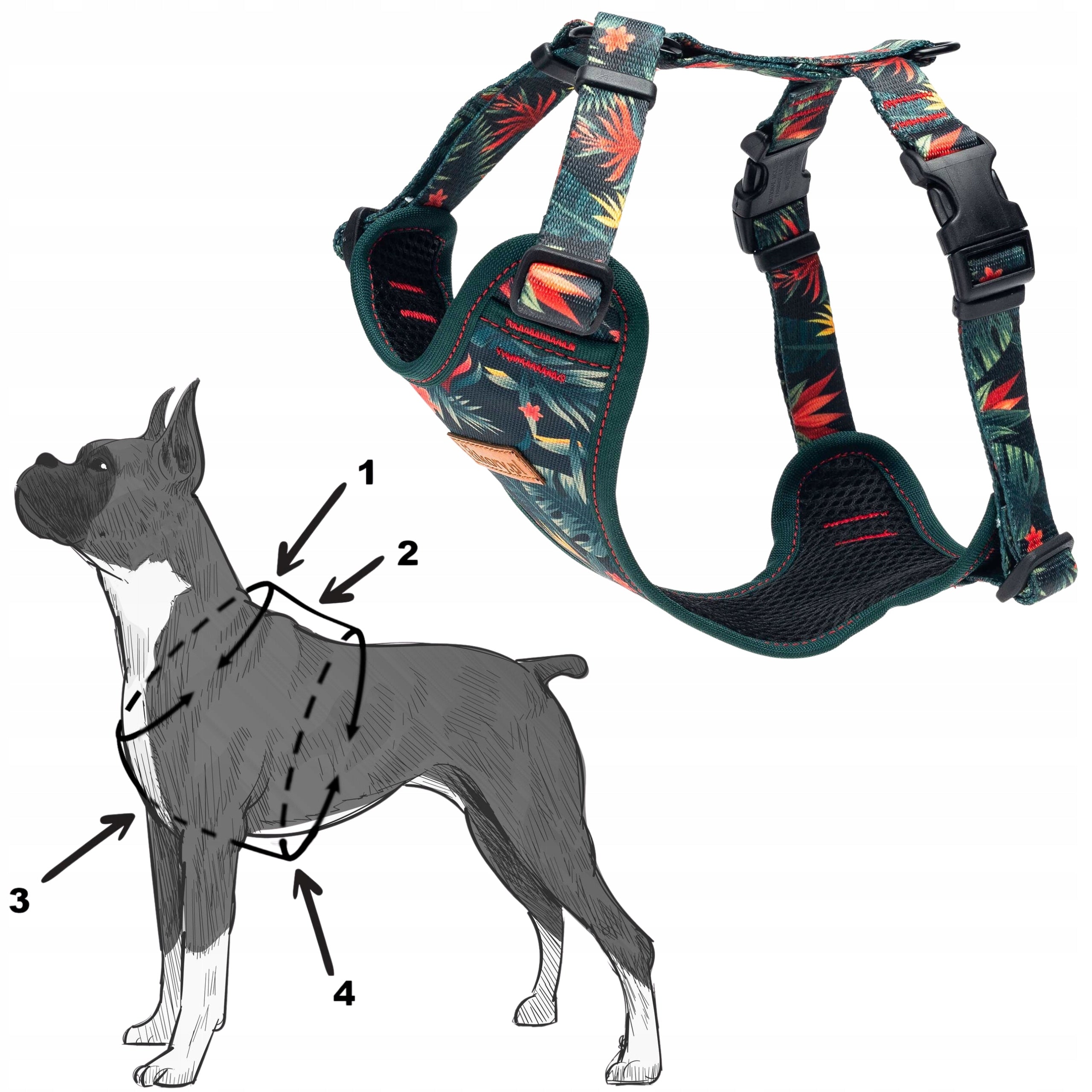 PRESSURE-FREE walking harness for medium dog terrier S 20mm Ukory GREEN Trade name Szelki bezuciskowe regulowane S PIES MONSTEROWO
