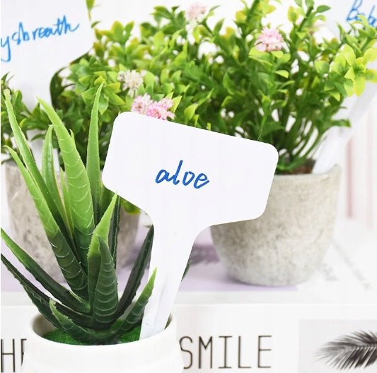 PRODUCTION FLOWER POT ROUND 13cm SEEDLINGS GROWING PLAQUE FREEBIE Product height 10 cm