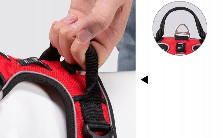 PROFESSIONAL Dog Harness Truelove Front Line S Dog size big dog