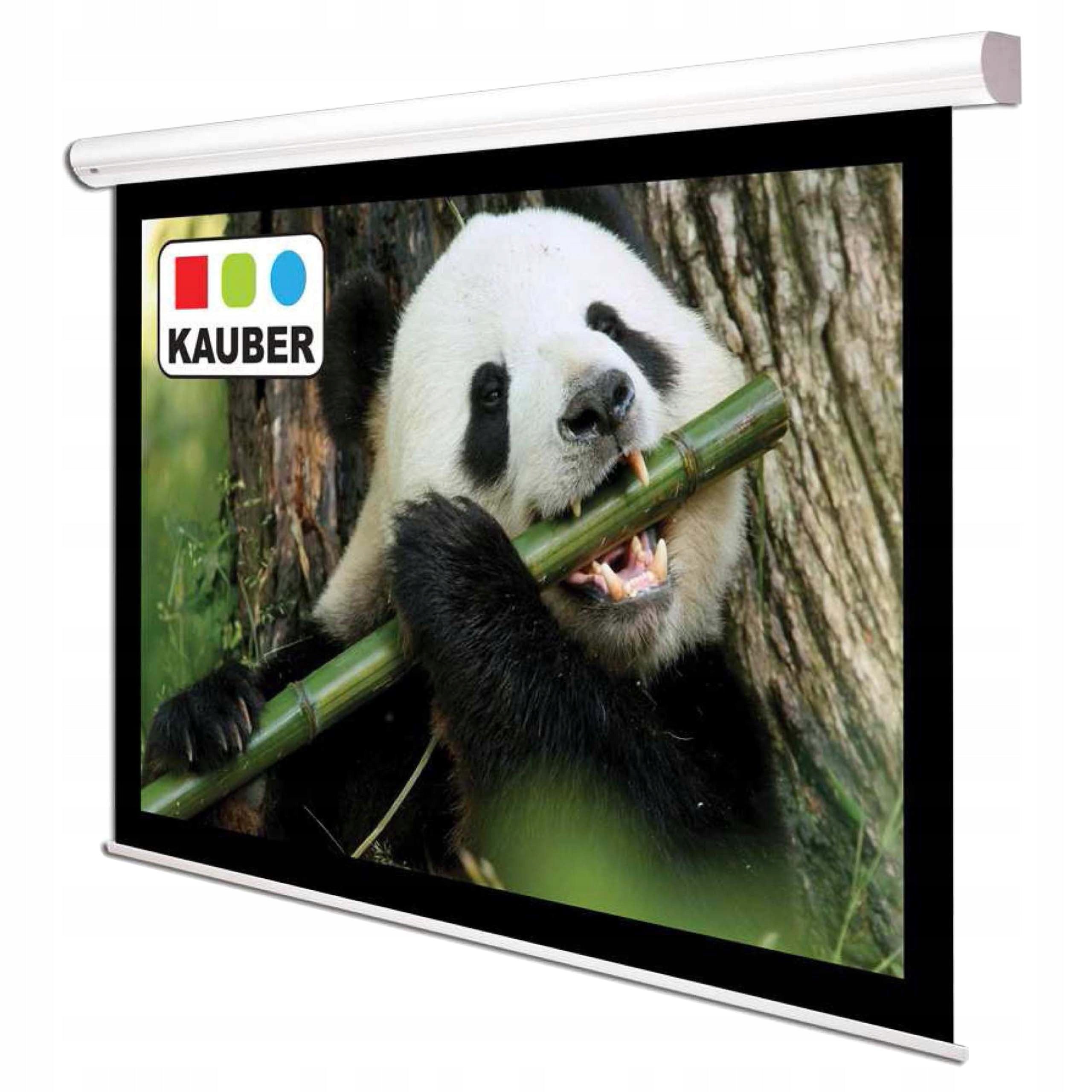 PROJECTION SCREEN KAUBER WHITE LABEL BLACK FRAME 16:9 190x107cm MATT WHITE Packaging status original