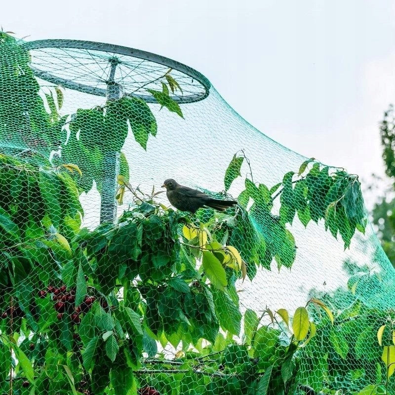 PROTECTIVE BIRD NET 4X6M STRONG AGAINST BIRDS PESTS FOR STARLINGS Net length 6 m