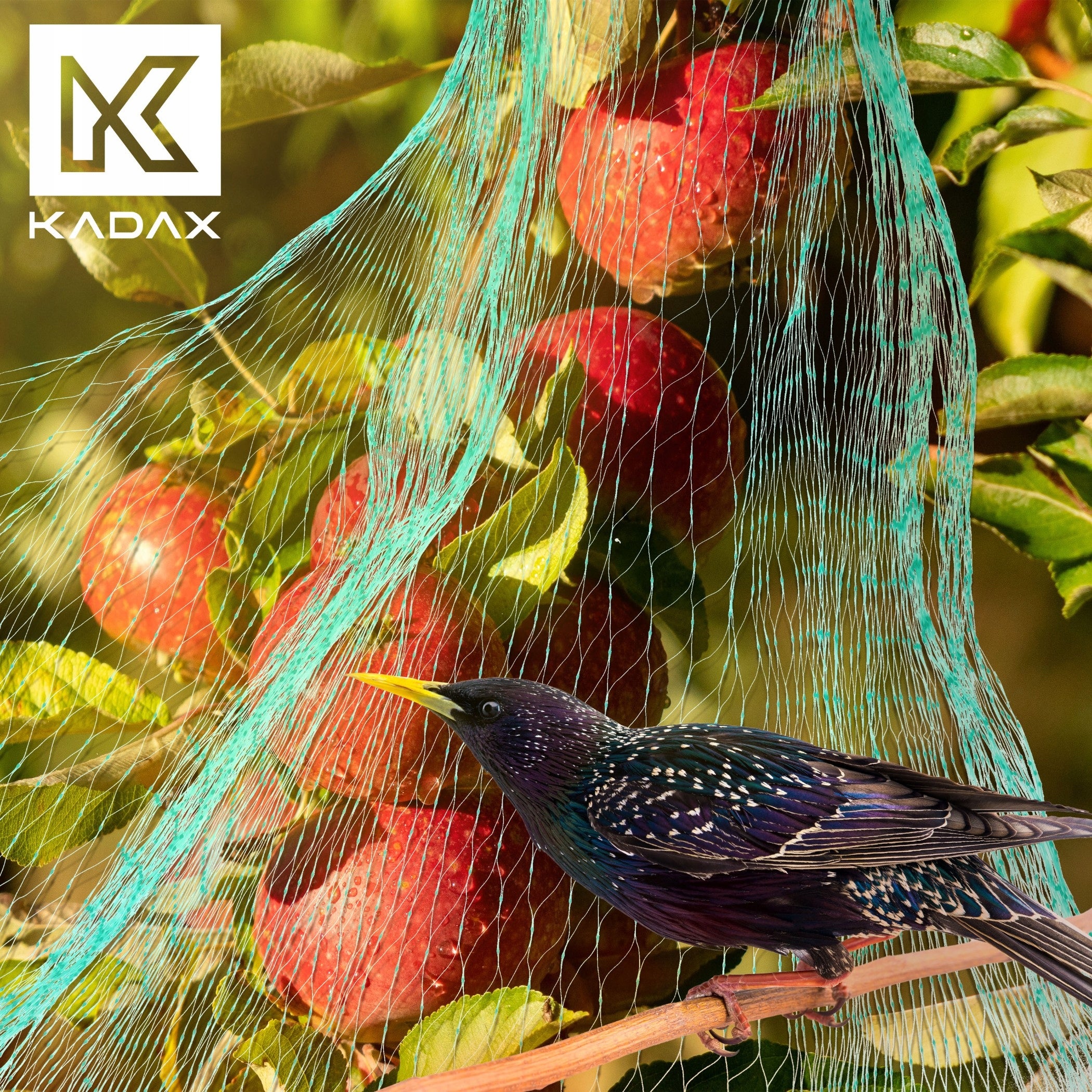 PROTECTIVE NET FOR BIRDS AGAINST BIRDS STARLINGS PIGEONS STRONG COVER 5x100m Packaging status original