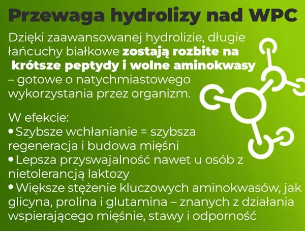 PROTEIN GLYCINE - BEEF WPI WPH Amix Hydro Beef 1kg Chocolate Coffee Mocha Packaging status original