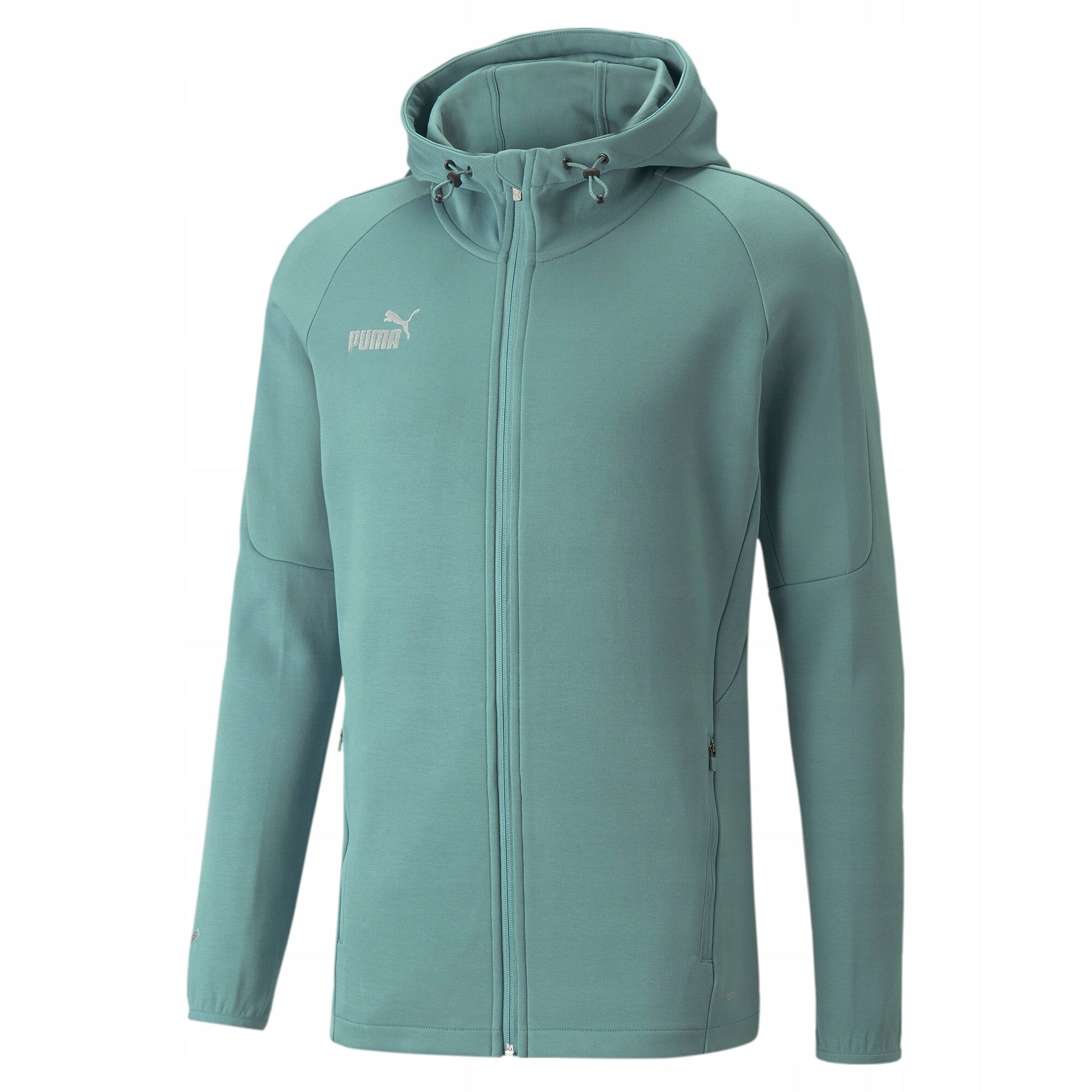 Puma džemperis vyrams teamFinal Casuals Hooded Jkt 657383 34, mėlynas