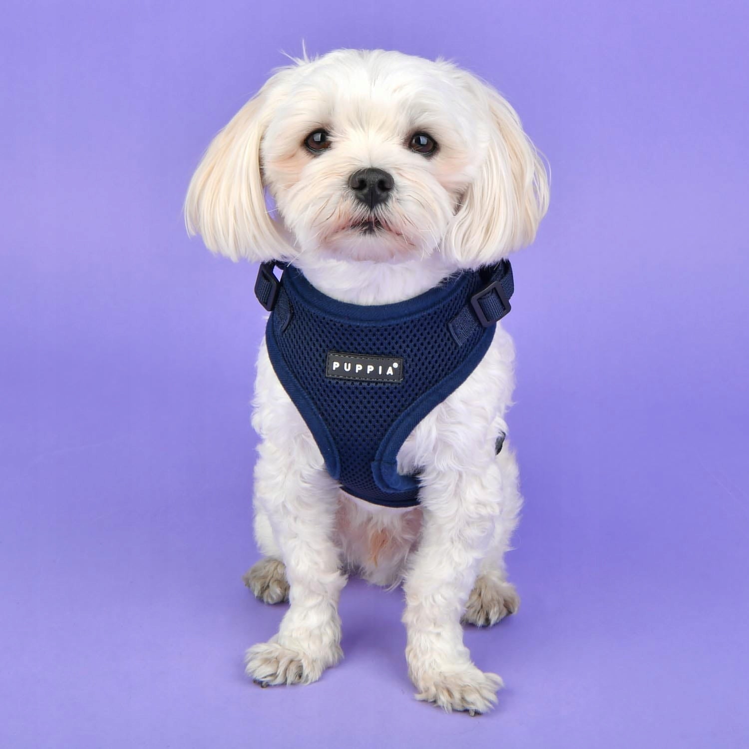 PUPPIA Ritefit navy dog harness - size: L Manufacturer code PAJA-AC617-NY-L