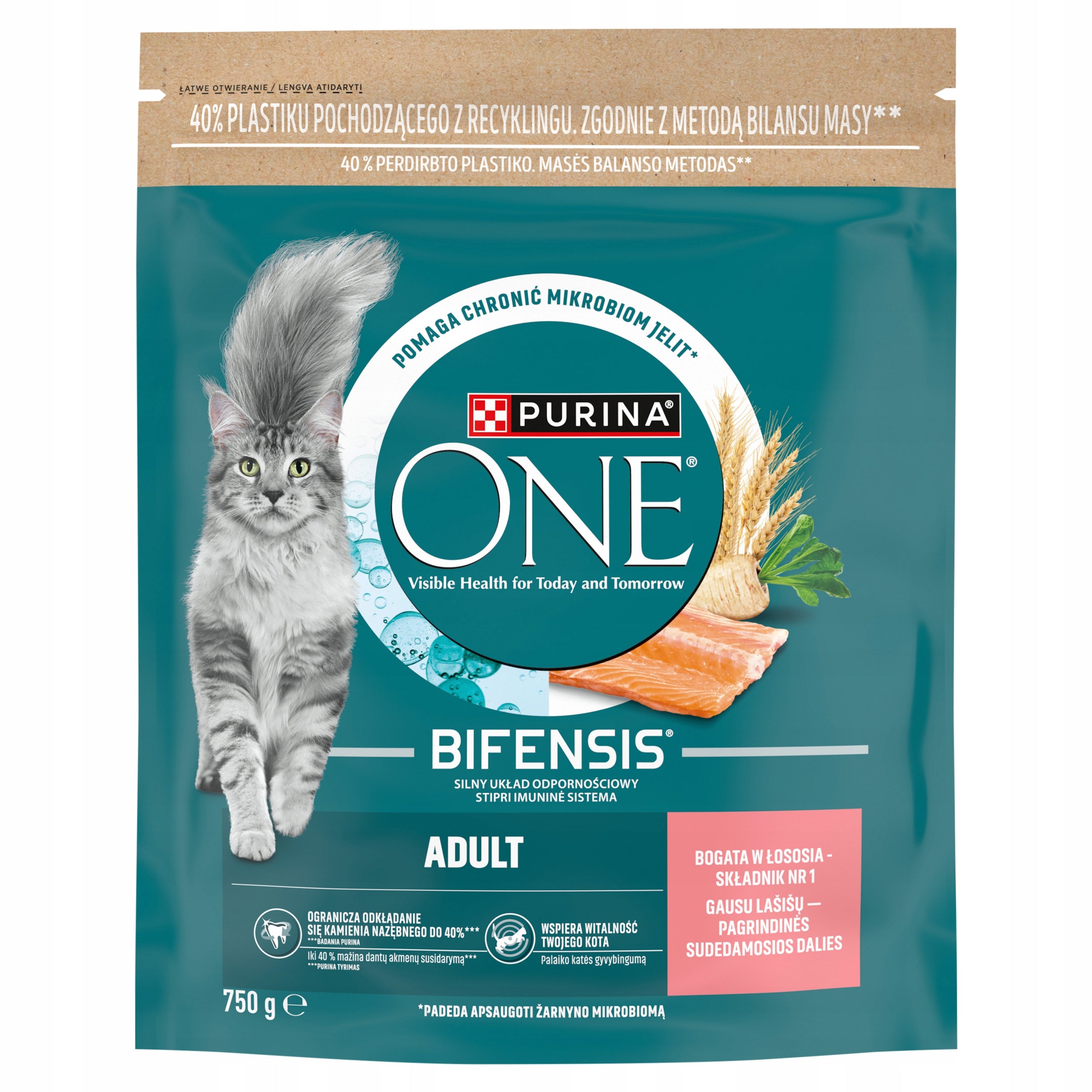 PURINA Dry Cat Food Salmon and Wheat ONE Adult TARTAR 750g