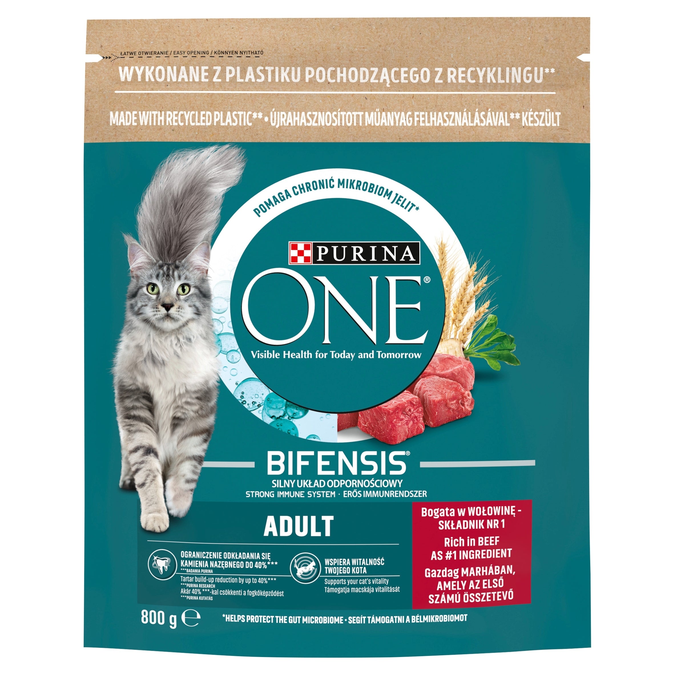 PURINA ONE BIFENSIS ADULT BEEF CAT FOOD 750g