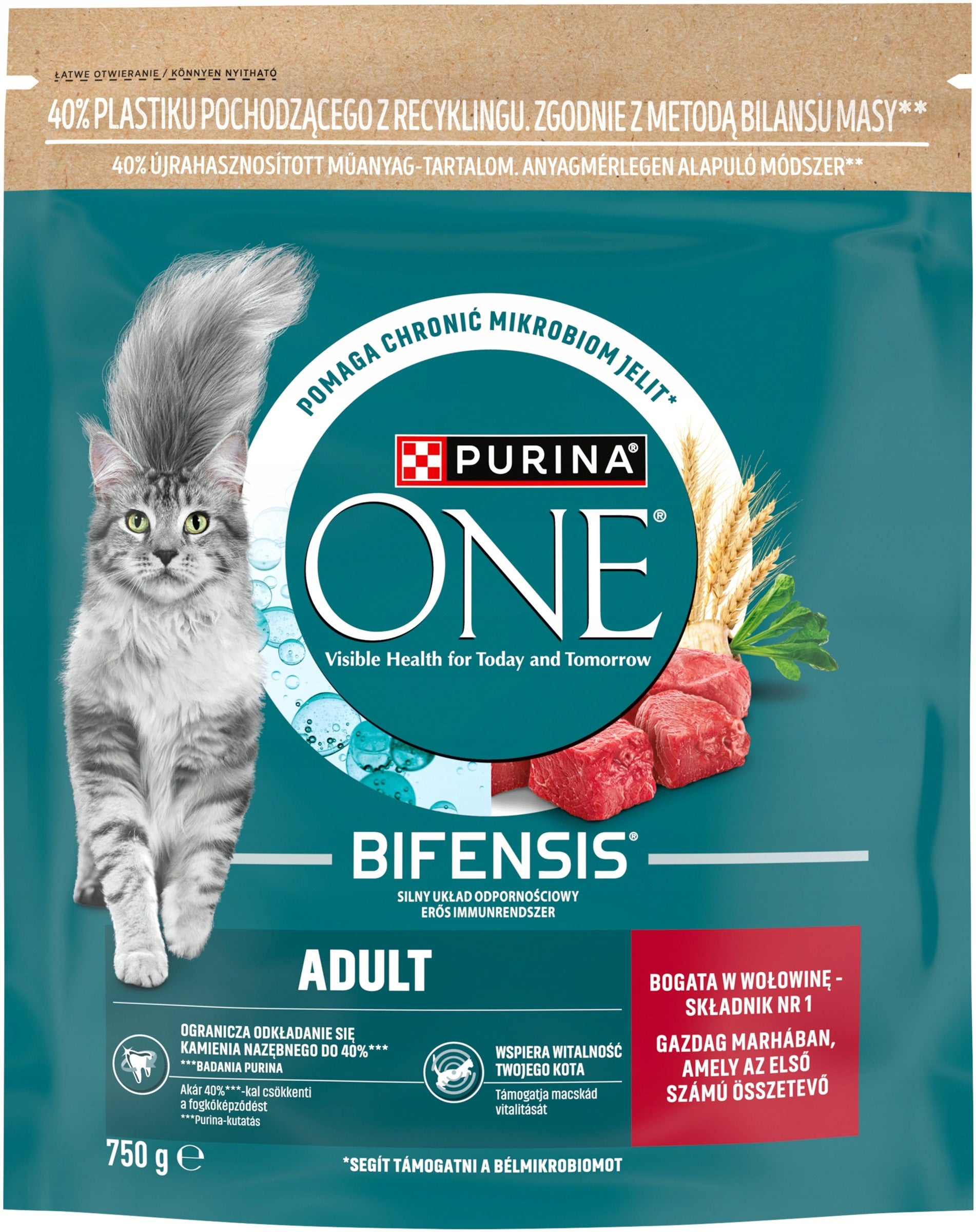 PURINA ONE Bifensis Adult Dry Cat Food with Beef 750g