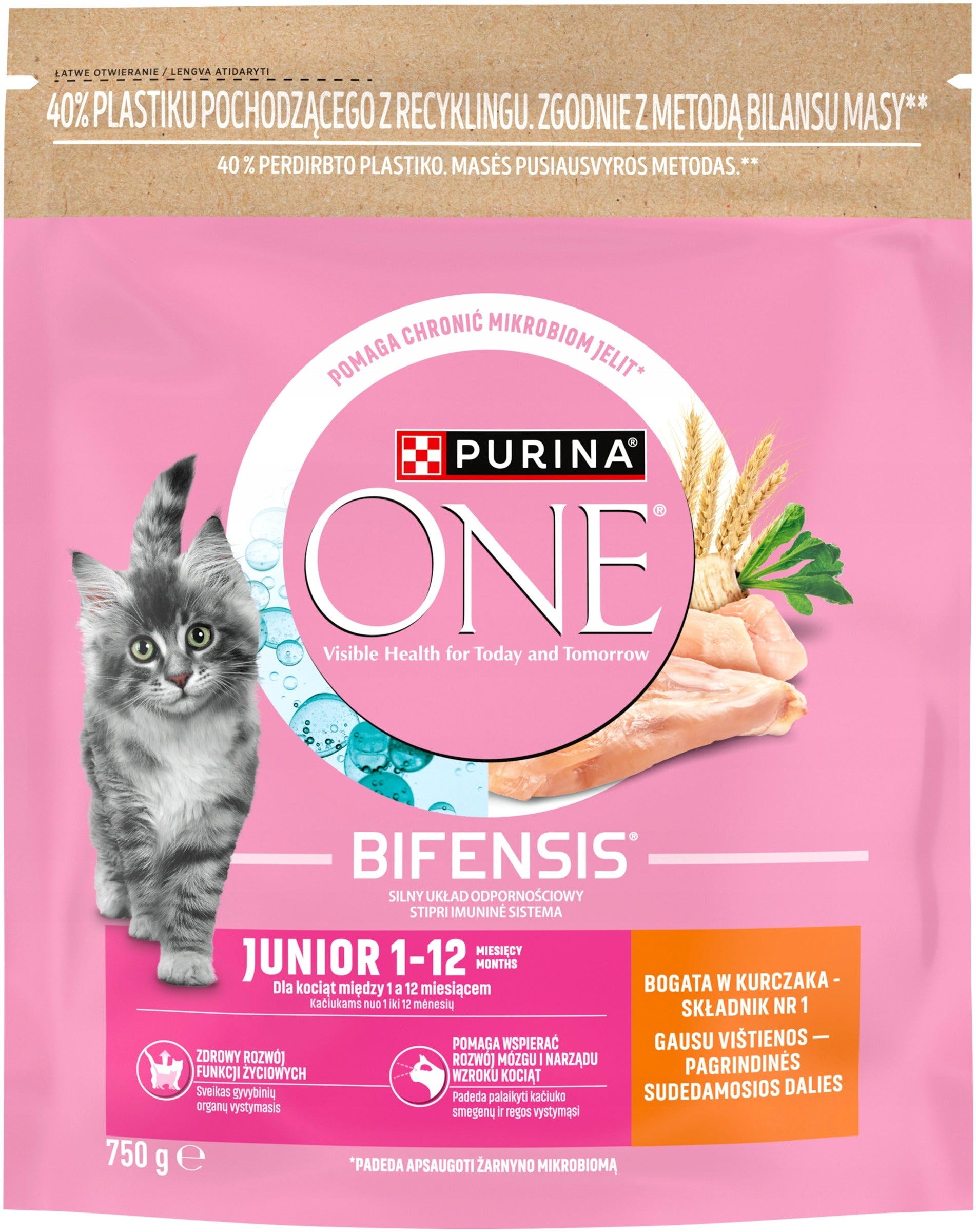 PURINA ONE JUNIOR Dry food for kittens WITH CHICKEN 750g