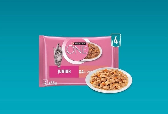 PURINA ONE Junior Wet Food for Kittens 8x 85g EAN (GTIN) 7613287790866