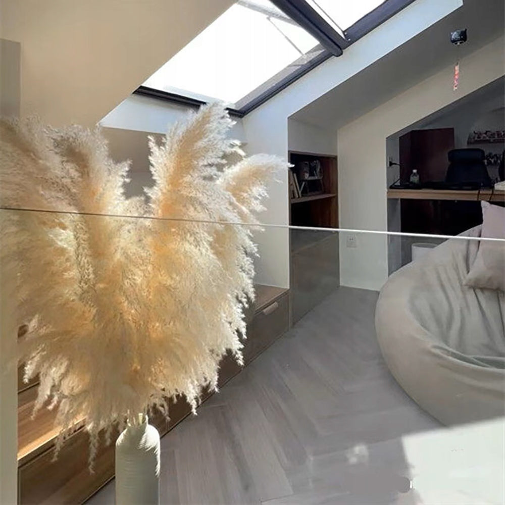 Pampas Grass Natural set of 3 pieces 105-110 cm Premium Dried BOHO Length 107 cm