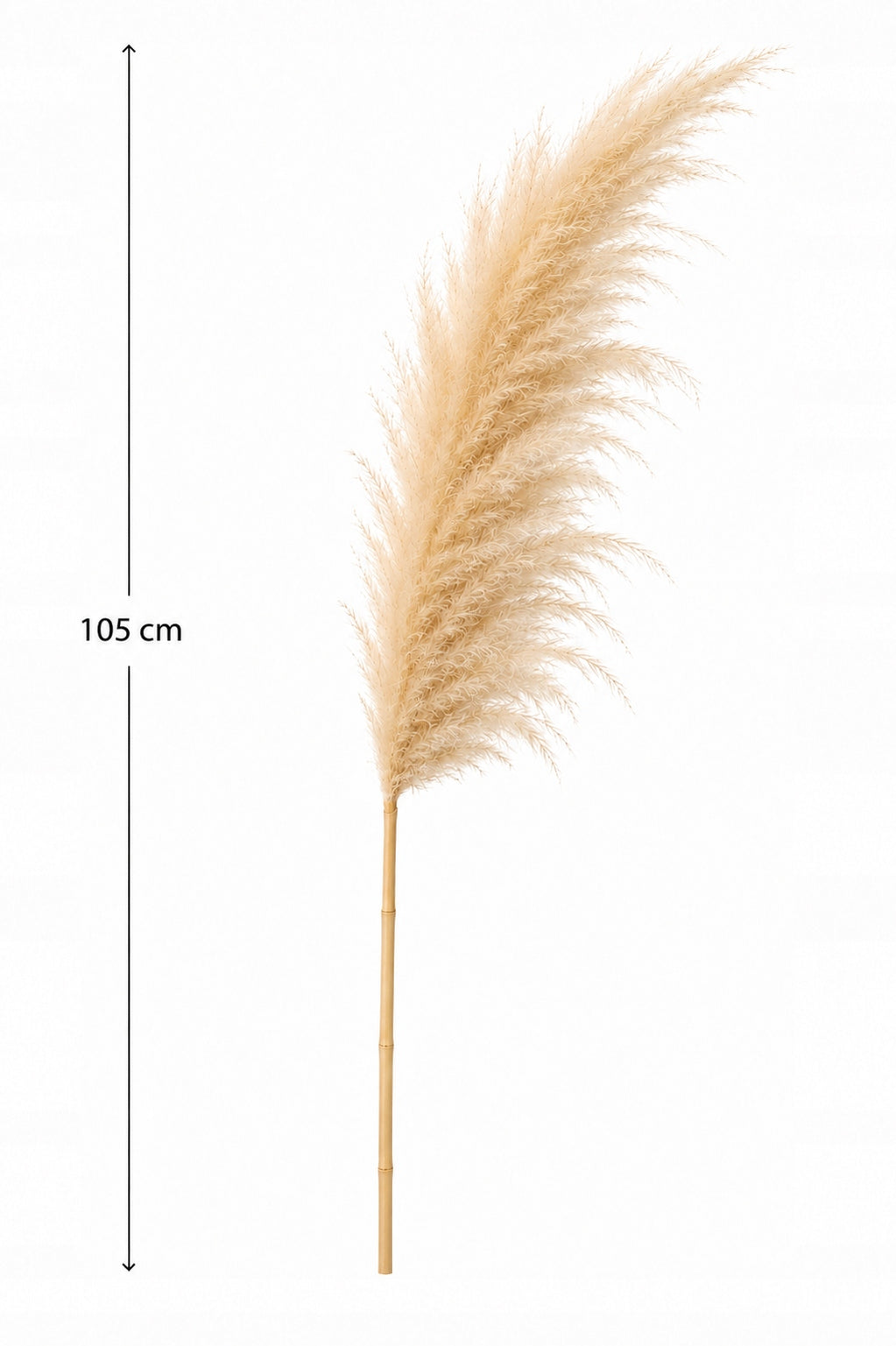 Pampas Grass Natural set of 3 pieces 105-110 cm Premium Dried BOHO Manufacturer no brand