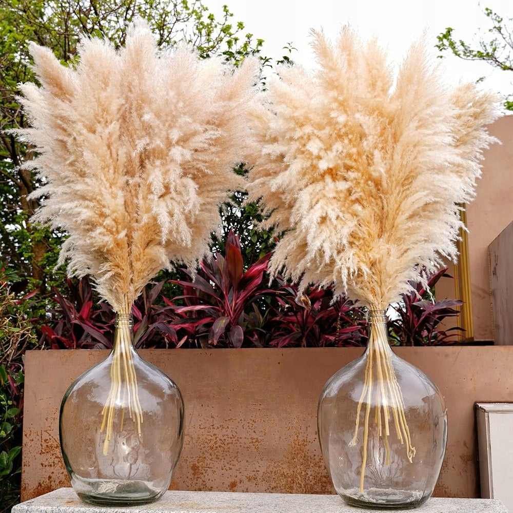 Pampas Grass Natural set of 3 pieces 105-110 cm Premium Dried BOHO Product height 105 cm