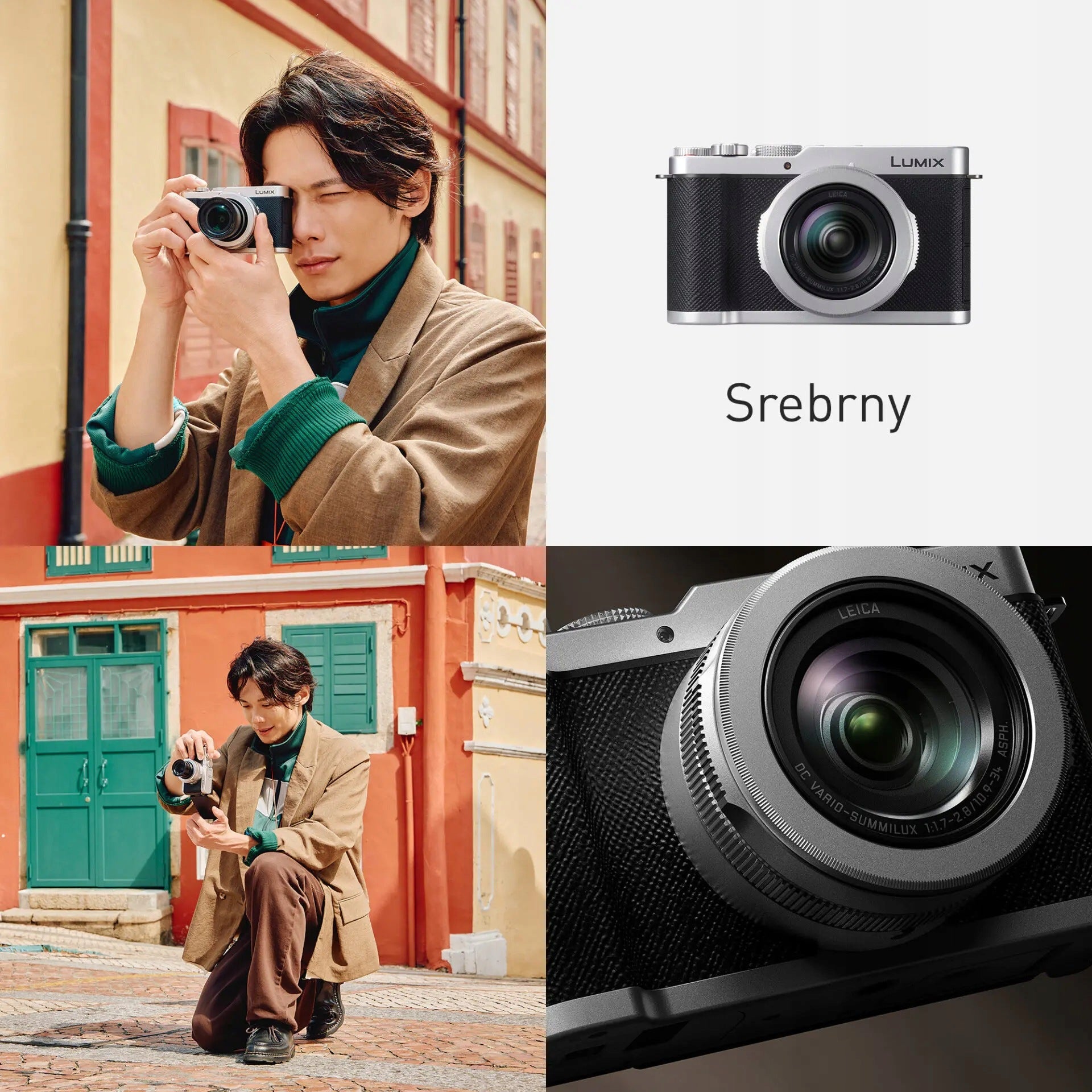 Panasonic DC-L10E-S Lumix premium compact camera Manufacturer code DC-L10E-S
