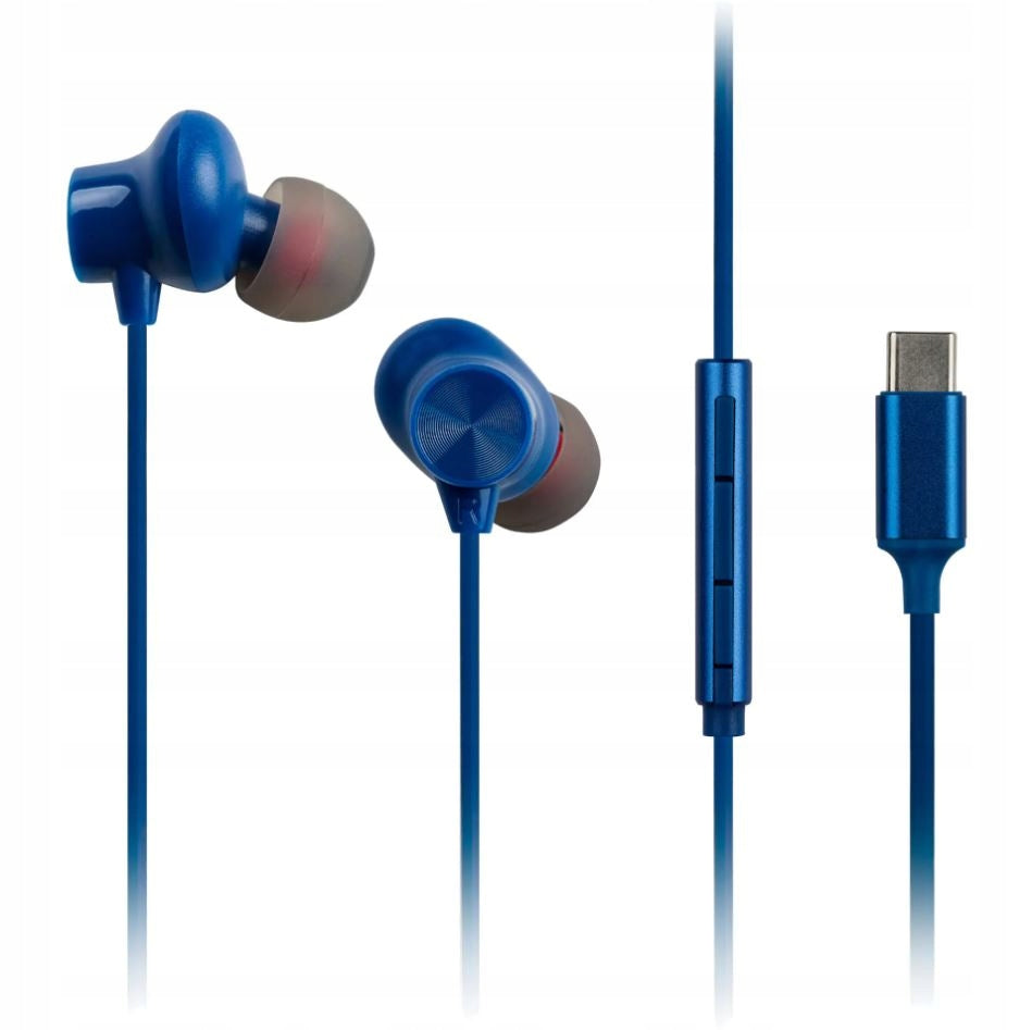Panasonic RP-TCM225DEA USB-C Earbuds Microphone