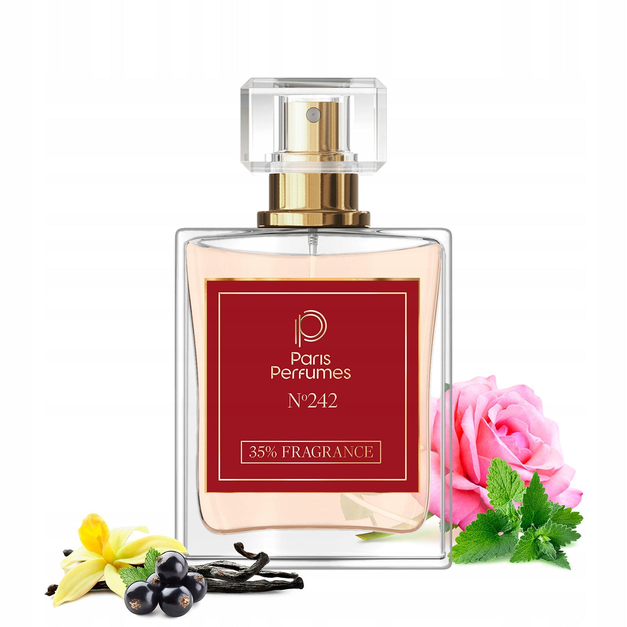 Paris Perfumes N° 242 35% - 50ml | Women's | Fruity, Sweet