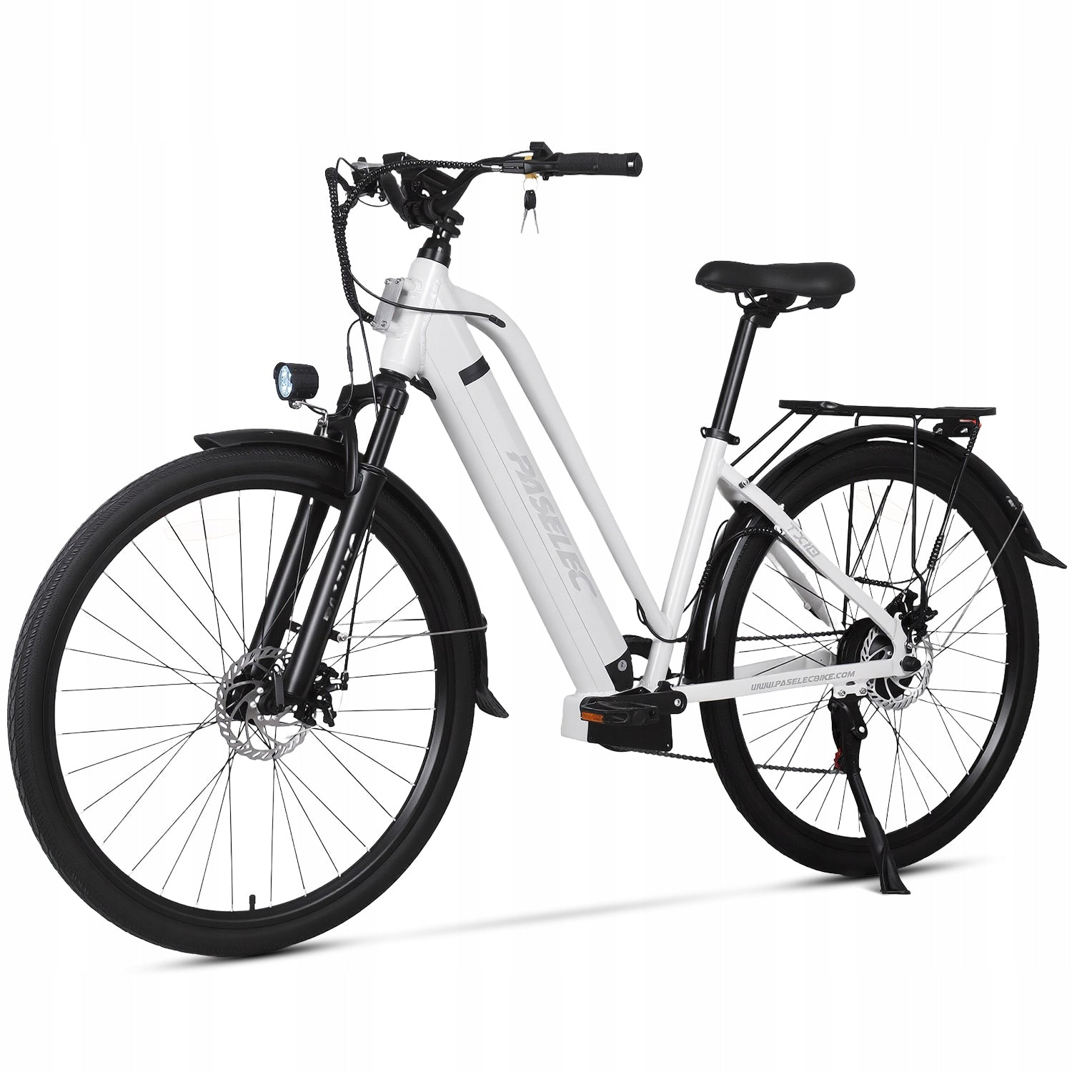 Paselec TX10 Electric Bike for adult 250W 48V 15.6Ah 25KM/H 80KM 28“ LCD EU